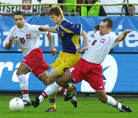 ������ - �������